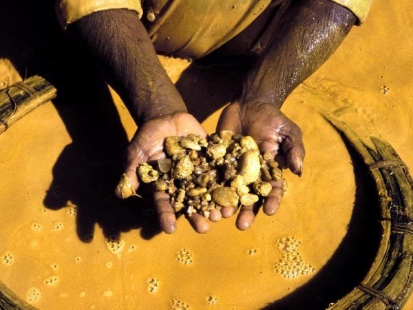 local-gold-miners-1